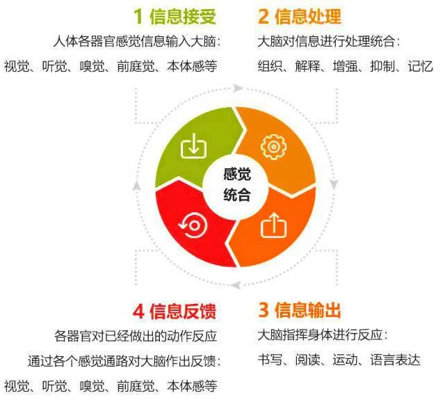 如何使用智能健身设备进行篮球专项训练_1