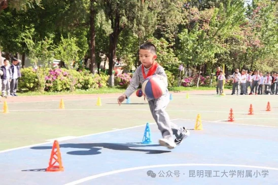 为什么篮球训练咨询能帮助提升技能_0